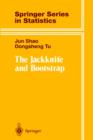 The Jackknife and Bootstrap - Book