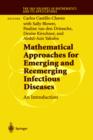 Mathematical Approaches for Emerging and Reemerging Infectious Diseases: An Introduction - Book