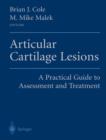 Articular Cartilage Lesions : A Practical Guide to Assessment and Treatment - Book