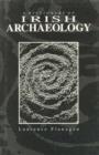 A Dictionary of Irish Archaeology - Book