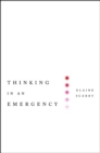 Thinking in an Emergency - Book