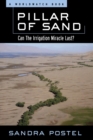 Pillar of Sand : Can the Irrigation Miracle Last? - Book