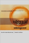 Visual Intelligence : How We Create What We See - Book