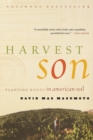 Harvest Son : Planting Roots in American Soil - Book