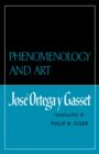 Phenomenology and Art - Book