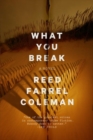 What You Break : A Novel - Book