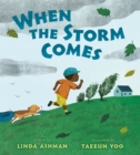 When the Storm Comes - Book