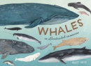 Whales : An Illustrated Celebration - Book