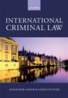International Criminal Law : A Critical Introduction - Book