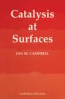 Catalysis at Surfaces - Book