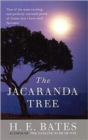 Jacaranda Tree, The - Book