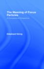 The Meaning of Focus Particles : A Comparative Perspective - Book