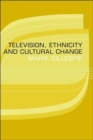 Television, Ethnicity and Cultural Change - Book