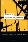 The Process of Economic Development : Theory, Institutions, Applications and Evidence - Book