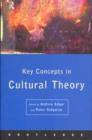 Key Concepts in Cultural Theory - Book