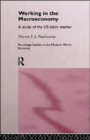 Working in the Macro Economy : A study of the US Labor Market - Book