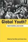 Global Youth? : Hybrid Identities, Plural Worlds - Book