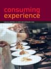 Consuming Experience - Book