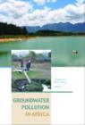 Groundwater Pollution in Africa - Book