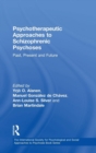 Psychotherapeutic Approaches to Schizophrenic Psychoses : Past, Present and Future - Book