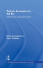 Turkish Accession to the EU : Satisfying the Copenhagen Criteria - Book
