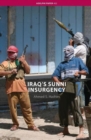 Iraq's Sunni Insurgency - Book