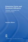 Enterprise Forms and Economic Efficiency : Capitalist, Cooperative and Government Firms - Book