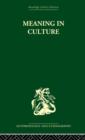 Meaning in Culture - Book