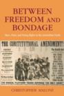 Between Freedom and Bondage : Race, Party, and Voting Rights in the Antebellum North - Book