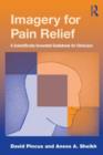 Imagery for Pain Relief : A Scientifically Grounded Guidebook for Clinicians - Book