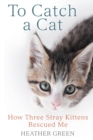 To Catch a Cat : How Three Stray Kittens Rescued Me - Book