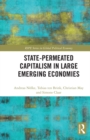 State-permeated Capitalism in Large Emerging Economies - eBook