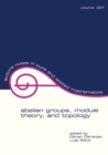 Abelian Groups, Module Theory, and Topology - eBook