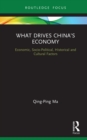 What Drives China’s Economy : Economic, Socio-Political, Historical and Cultural Factors - eBook