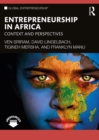 Entrepreneurship in Africa : Context and Perspectives - eBook