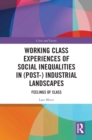 Working Class Experiences of Social Inequalities in (Post-) Industrial Landscapes : Feelings of Class - eBook
