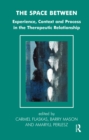 The Space Between : Experience, Context, and Process in the Therapeutic Relationship - eBook