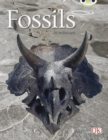 Bug Club Guided Non Fiction Year Two Gold A Fossils - Book