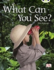Bug Club Guided Non Fiction Reception Red A  What Can You See? - Book