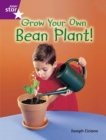 Rigby Star Guided Quest Purple: Grow Your Own Bean Plant! - Book