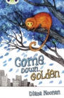 Bug Club Independent Fiction Year 3 Brown A Come Down, Golden - Book