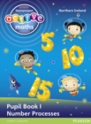 Heinemann Active Maths Northern Ireland - Key Stage 1 - Exploring Number - Pupil Book 1 - Number Processes - Book