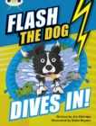 Bug Club Independent Fiction Year 3 Brown B Flash the Dog Dives In! - Book
