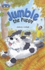 Storyworlds Bridges Stage 12 Jumble the Puppy (single) - Book