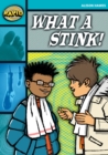 Rapid Reading: What a Stink! (Stage 3, Level 3B) - Book