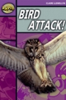 Rapid Stage 1 Level B: Bird Attack! Reader Pack of  3 (Series 2) - Book