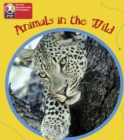 PYP L1 Animals in the Wild single - Book