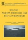 Iceland - Modern Processes and Past Environments : Volume 5 - Book