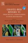 Gravel Bed Rivers 6 : From Process Understanding to River Restoration Volume 11 - Book