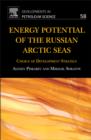 Energy Potential of the Russian Arctic Seas : Choice of development strategy - eBook